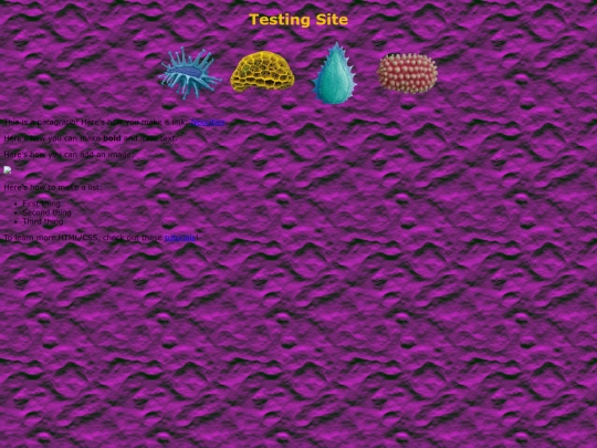 testing screenshot