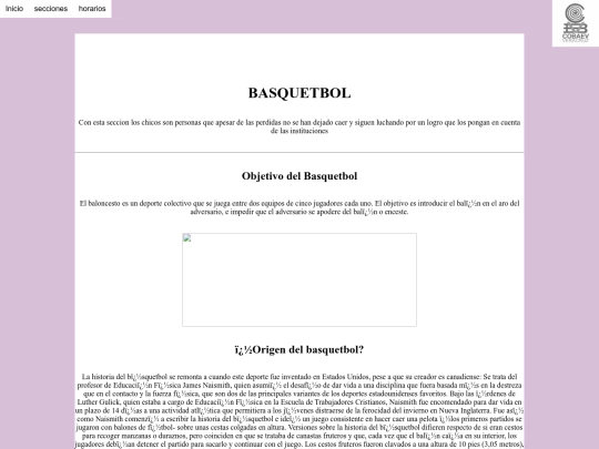 secciones(basquetbol) screenshot