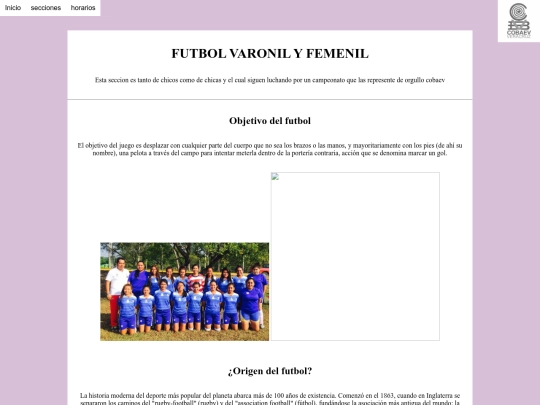 secciones(futbol) screenshot