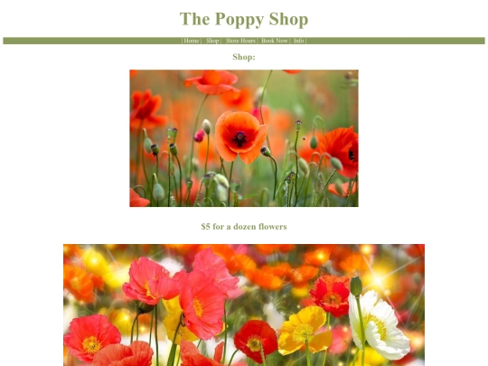 shop screenshot