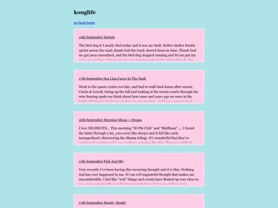 diarynav screenshot
