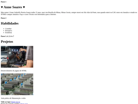 atividade6/portifolio screenshot