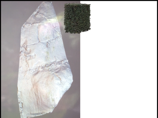 comp2 screenshot