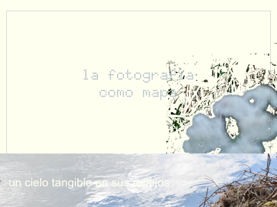 disperso/pruebaflor screenshot