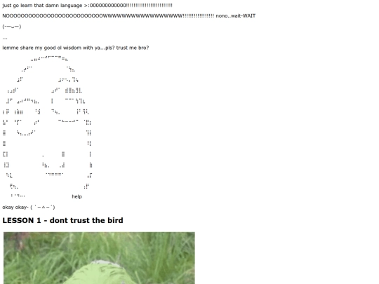 f screenshot