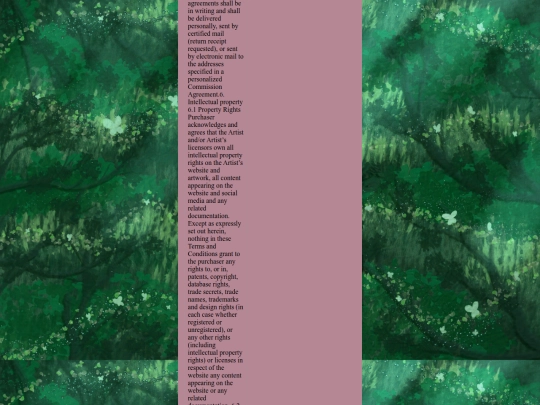 terms screenshot