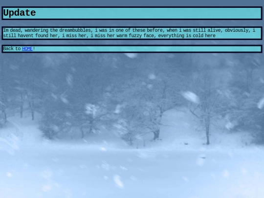 lost screenshot