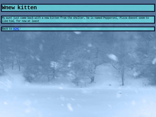 new_kitten screenshot