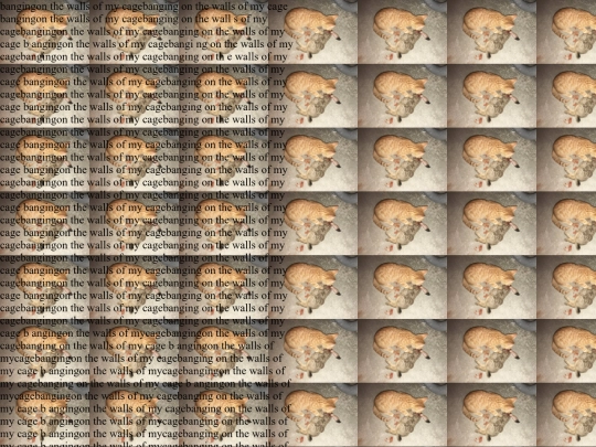 smiling screenshot