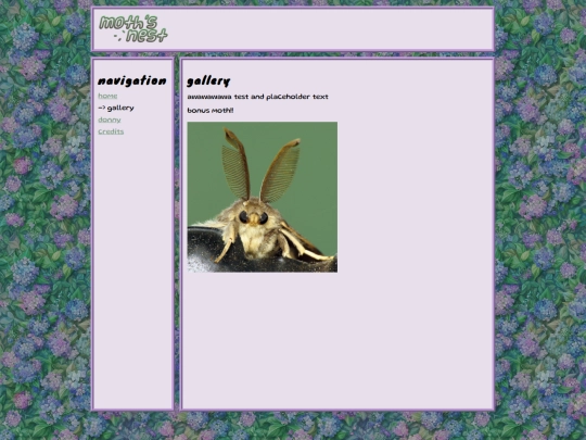 gallery screenshot