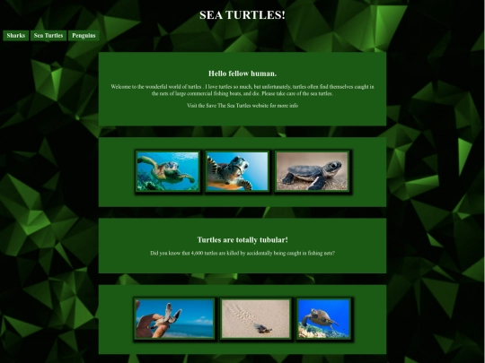 pictures screenshot