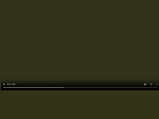 obradinn screenshot
