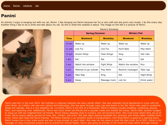 panini screenshot