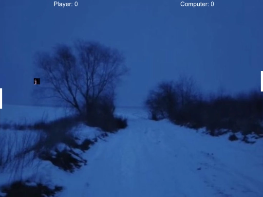 Pong screenshot