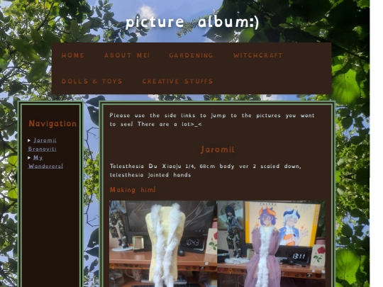 toyalbum screenshot