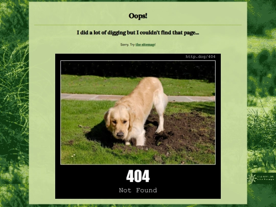 pages/projects/media screenshot
