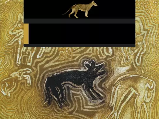 projects/pets/mischa screenshot
