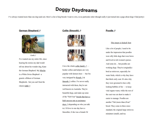 wip/pages/blog/doggy-daydreams screenshot