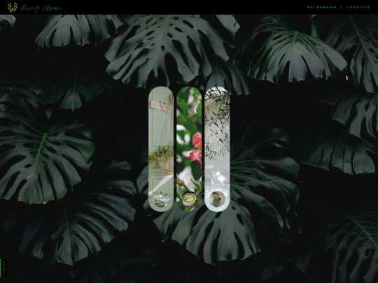 quietthyme screenshot