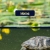 Elmm's Webhub avatar