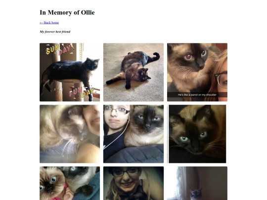 olliephotos screenshot