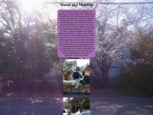 page1/manni screenshot
