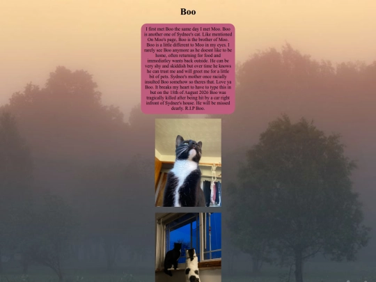 page4/boo screenshot