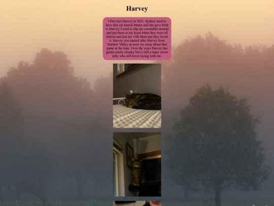 page4/harvey screenshot