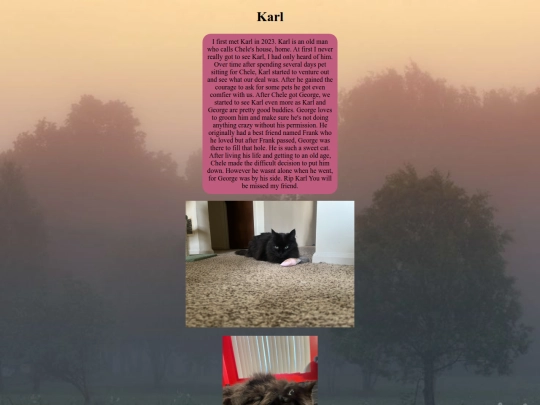 page4/karl screenshot