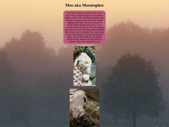 page4/moo screenshot