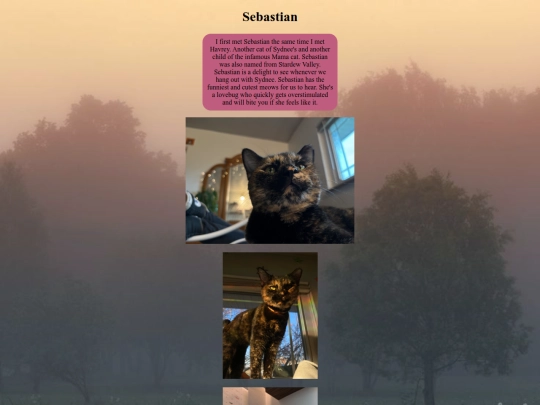 page4/sebastian screenshot