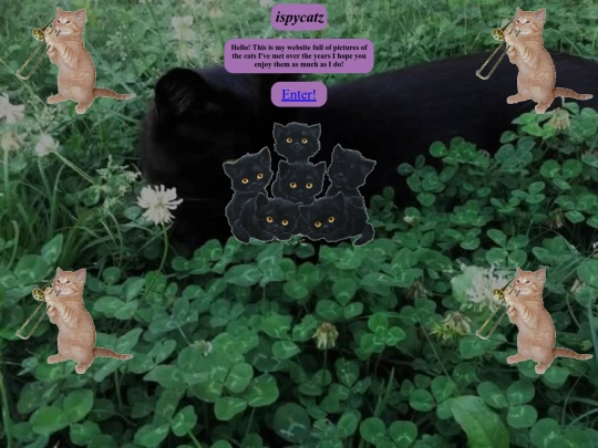 test screenshot