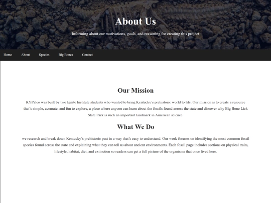 about-us screenshot