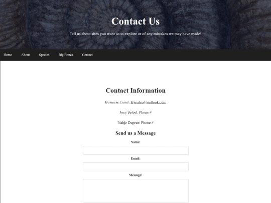 contact-us screenshot