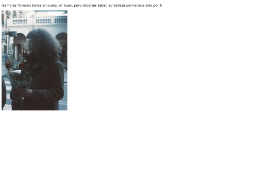 flor screenshot