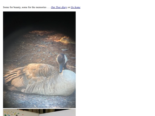 photos screenshot