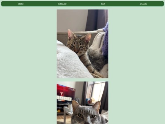 myCats screenshot