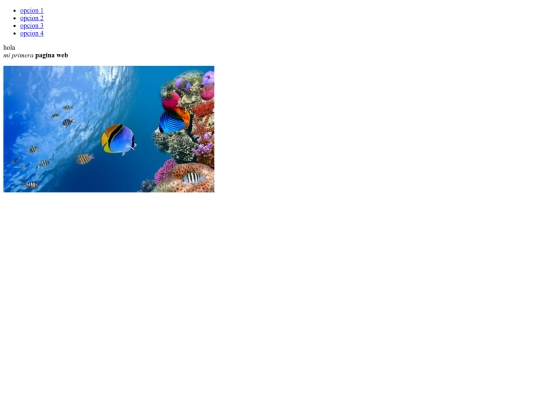 trabajo screenshot