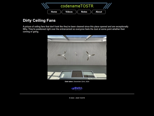 dirtyceilingfans screenshot