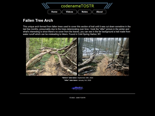 fallentreearch screenshot