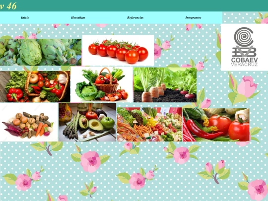 Galeria screenshot