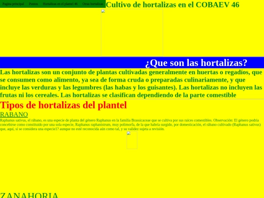 proyecto transversal de hortalizas screenshot