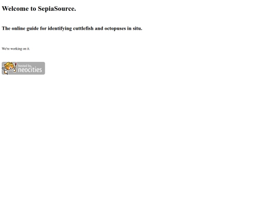 placeholder screenshot
