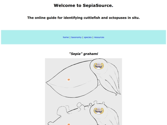 species/1 screenshot