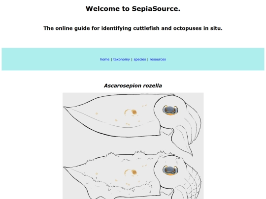 species/2 screenshot