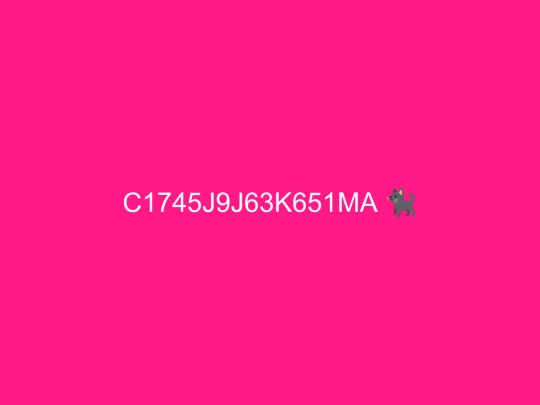 C1745J9J63K651MA screenshot