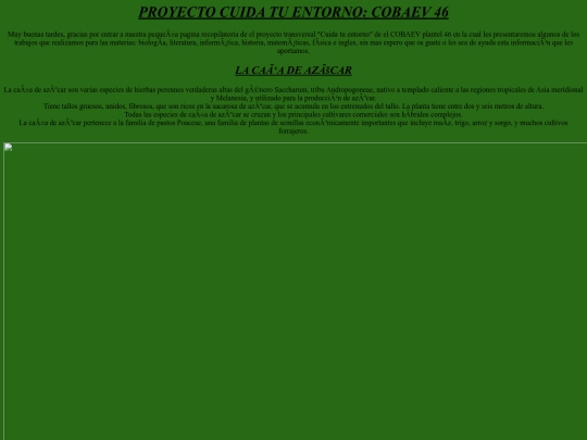Proyecto screenshot