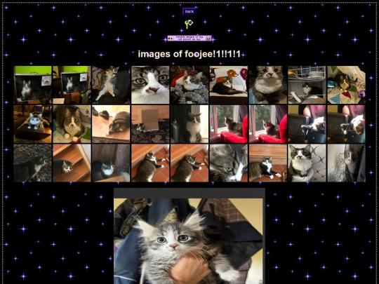 fuji screenshot