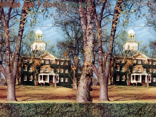 school screenshot