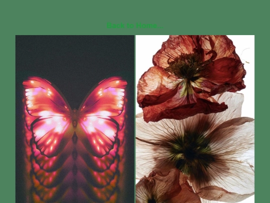 pages/gallery screenshot